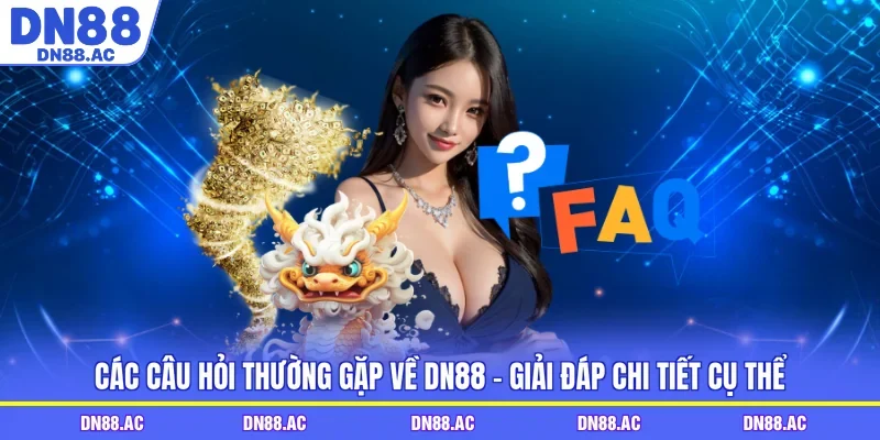 Các Câu Hỏi Thường Gặp Về DN88 - Giải Đáp Chi Tiết Cụ Thể