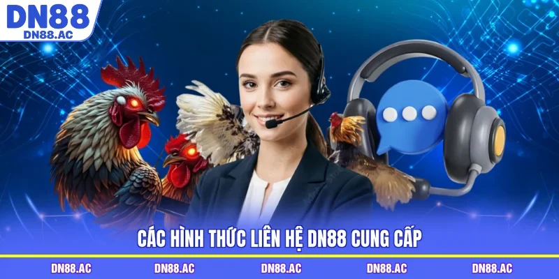 Các hình thức liên hệ DN88 cung cấp