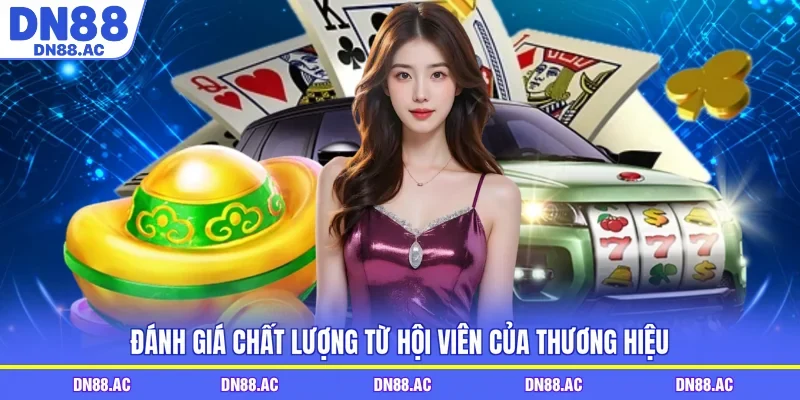 Đánh giá chất lượng từ hội viên của thương hiệu