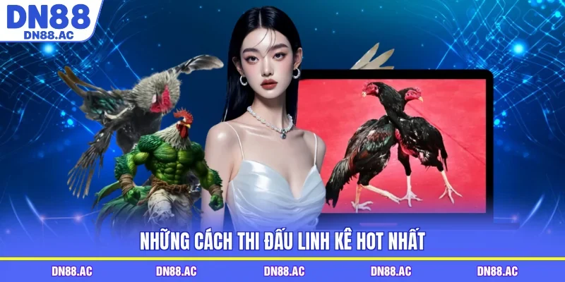 Những cách thi đấu linh kê hot nhất